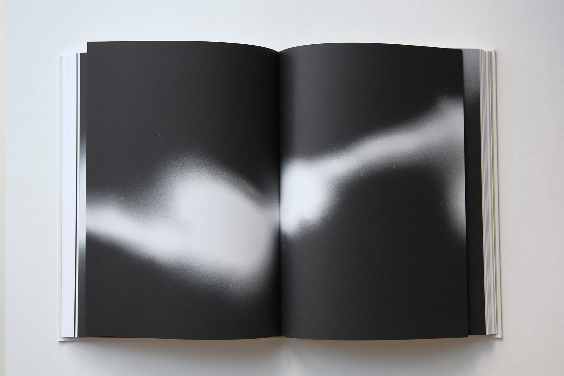 Doppelseite aus „Phenotype“ von J. Lempert zeigt ein „Luminogramm of a glowworm 35 mm film